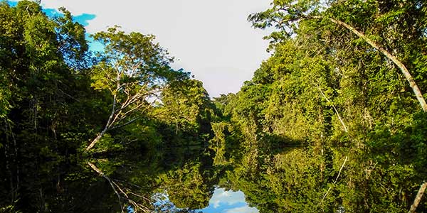 Fundo Amazônia