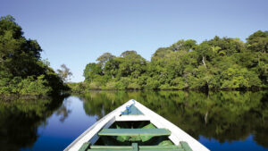 Fundo Amazônia