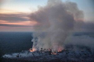 Incêndios recordes na Amazônia causam a perda de florestas primárias