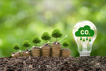 Avanços e Problemáticas dentro do mercado de carbono