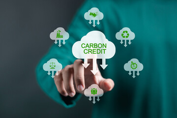 Comércio de crédito de carbono na Índia avança para impulsionar reduções de emissões e atingir metas climáticas