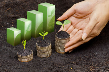 Bioeconomia: Oportunidade Estratégica para o Brasil e o Futuro do Planeta