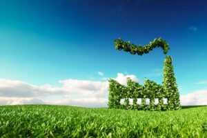 Valor do Crédito de Carbono no Mercado Voluntário