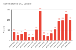 Desmatamento na Amazônia sofre redução histórica