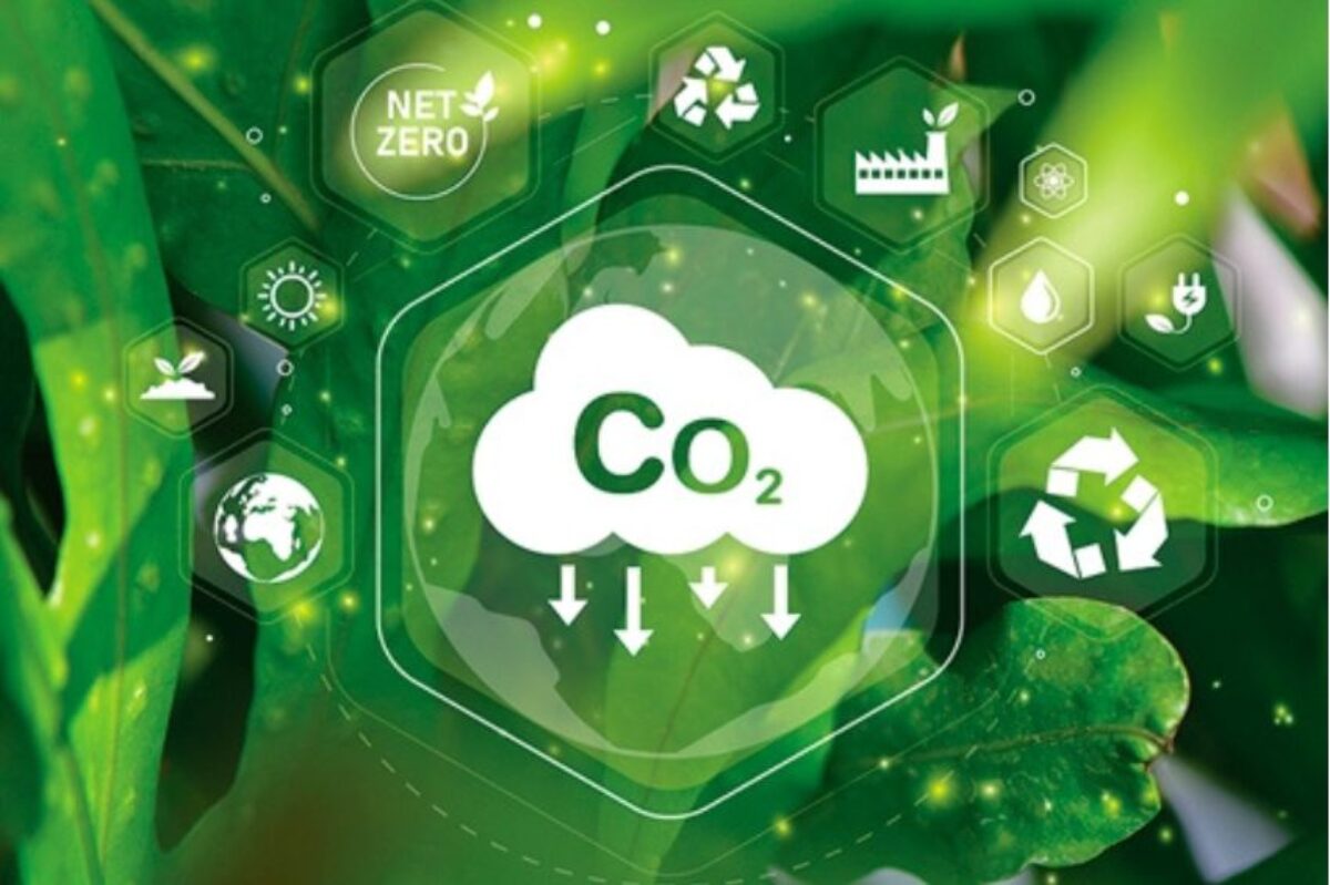 Mercado de crédito de carbono e a problemática da falta de regulamentação