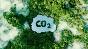 Crescimento do do Mercado de Créditos de Carbono no Acre impulsiona Preservação e Desenvolvimento Econômico