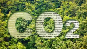 Aumento exponencial do mercado de créditos de Carbono reflete em uma maior rentabilidade e preferência