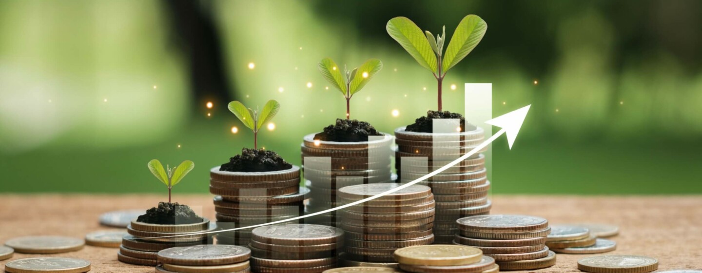 COP29: ICD aborda Finanças Verdes e Crescimento Inclusivo