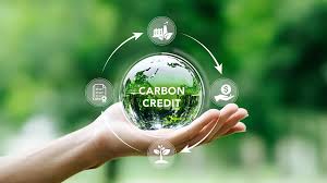 Brasil no Caminho para se tornar a "Arábia Saudita do Mercado de Carbono"