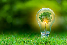 Rubens Ometto posiciona o Brasil como líder na transição energética e critica práticas como greenwashing