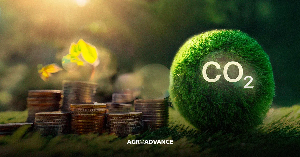Nova regulamentação do mercado de carbono pode impulsionar a economia da Índia