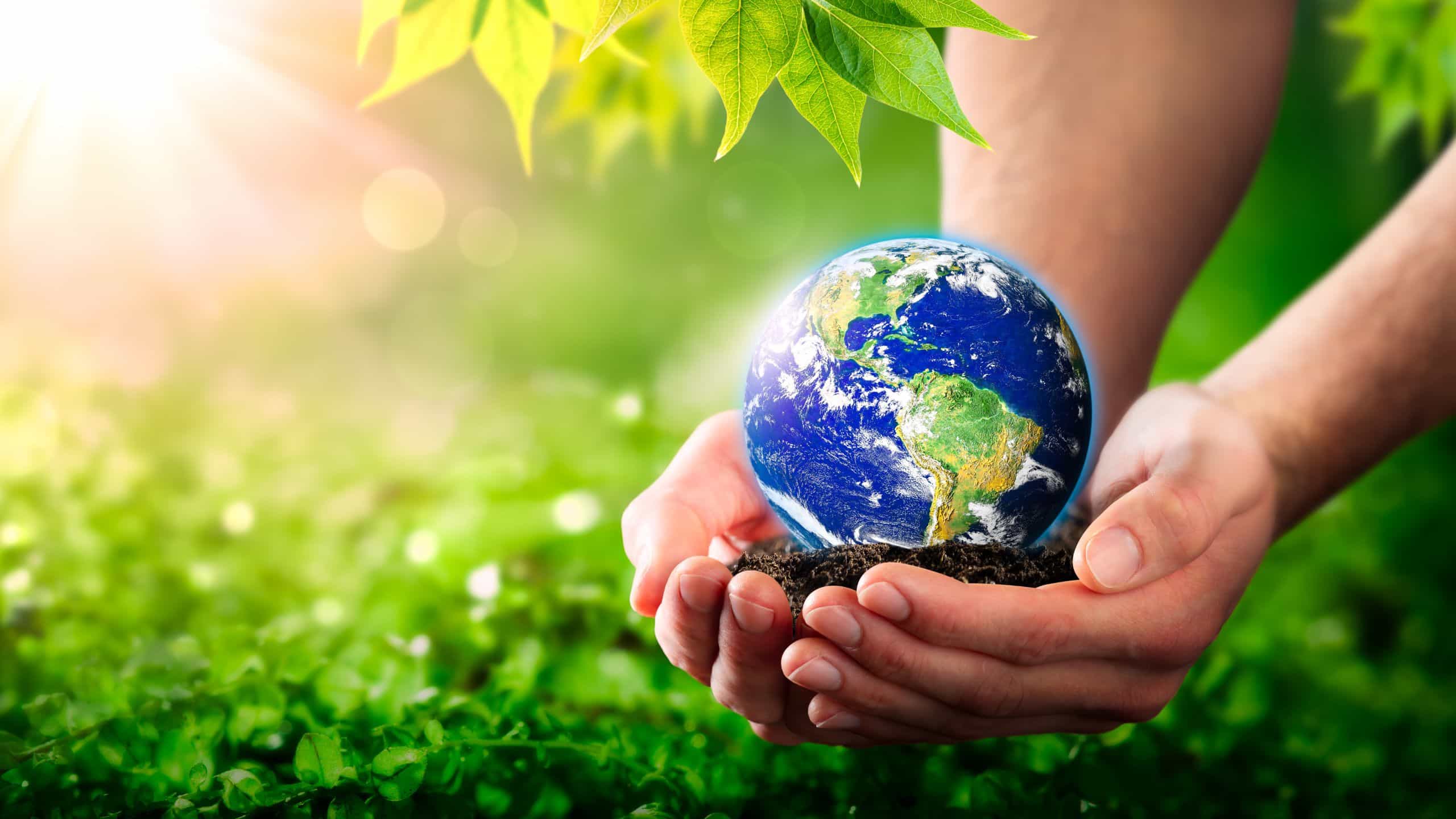 Primeiro-ministro incentiva financiamento privado à projetos sustentáveis
