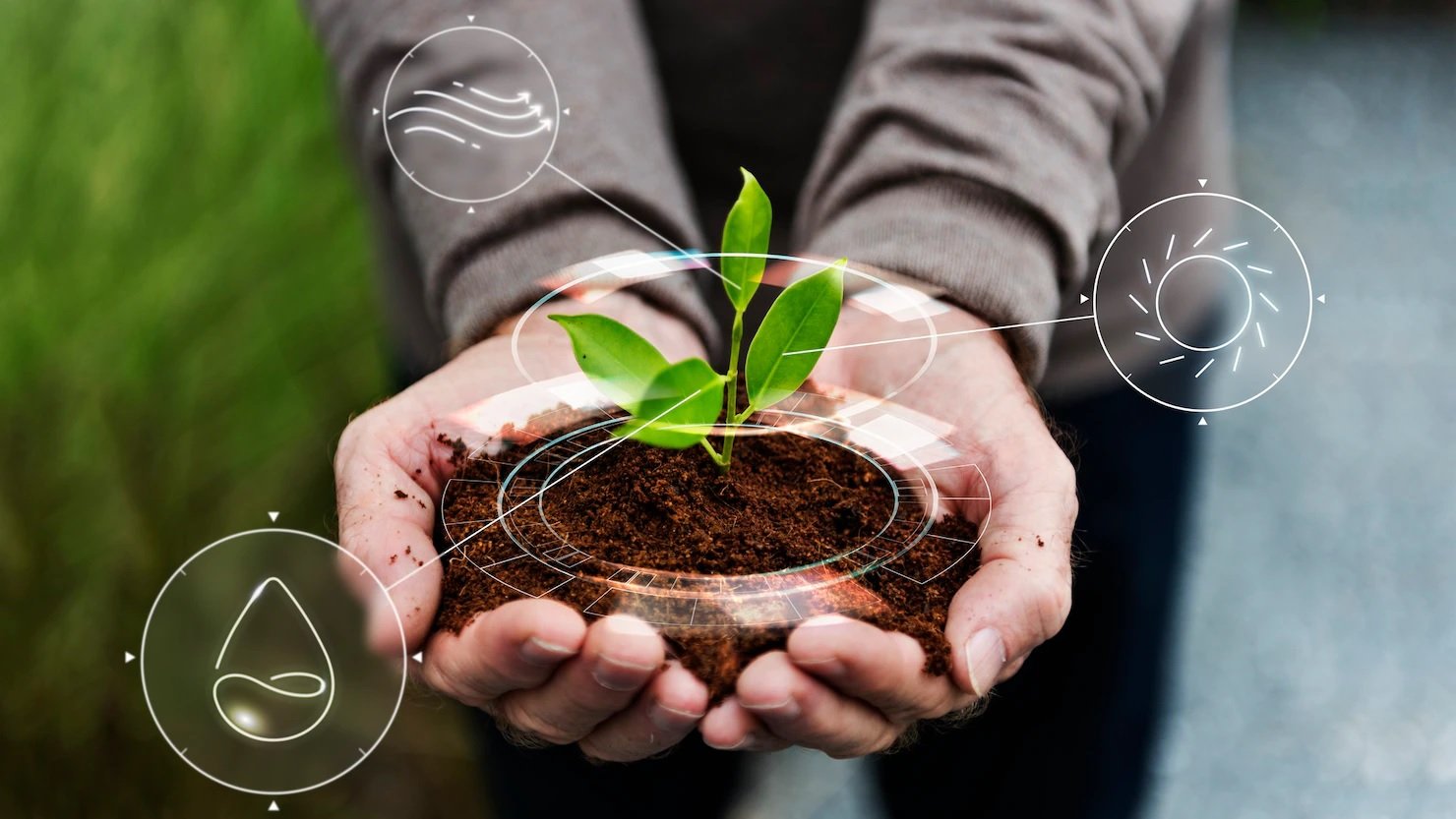 COP29 encerrou com foco em uma Transição Justa para Economia Verde e Trabalho Inclusivo