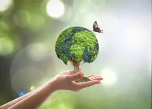 Investimentos ESG: Expectativa para o Futuro dos Negócios Sustentáveis até 2025