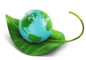 US$ 1,5 Bilhões Investido para Proteção da Amazônia com Apoio ao Mercado de Carbono
