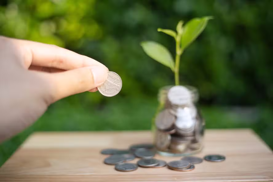 BERD e BNP Paribas Finansal Kiralama Impulsionam a Economia Verde na Turquia