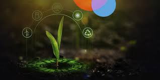 Projetos verdes no Sul Global impulsionados pela união da Catona Climate e Compassionate Carbon