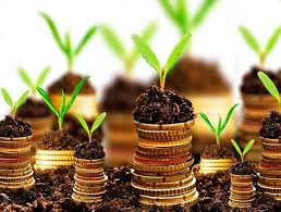 O Mercado de Créditos de Carbono: Expectativas para o Futuro