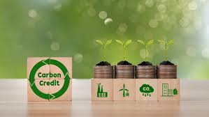 Uzbequistão inaugura Programa de Financiamento Verde