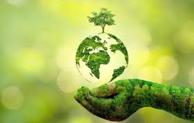 Potencial da Sustentabilidade para PMEs para construção de um Futuro Verde