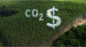 Inclusão de Metodologias REDD+ em Créditos de Carbono