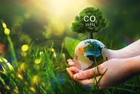 Como funciona e quais Impactos da Nova Lei de Crédito de Carbono
