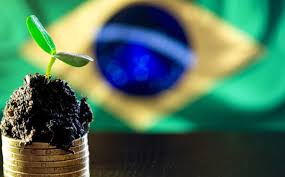 COP30: Oportunidade para Mercado Internacional de Crédito de Carbono Brasileiro