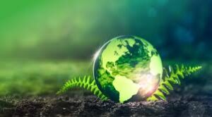 Reflorestamento da Amazônia: Mercado de Carbono e Oportunidades para Empresasv