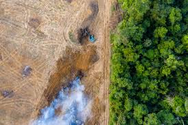 Redução do Desmatamento no Mato Grosso e Combate à Ilegalidade