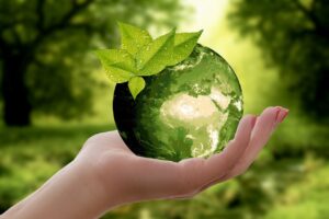 Sustentabilidade e Oportunidades de Negócio no mercado de crédito de carbono
