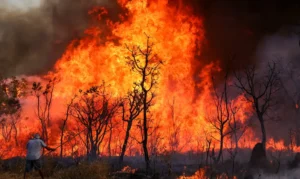 Brasil Registra Aumento Alarmante nas Áreas Queimadas em 2024