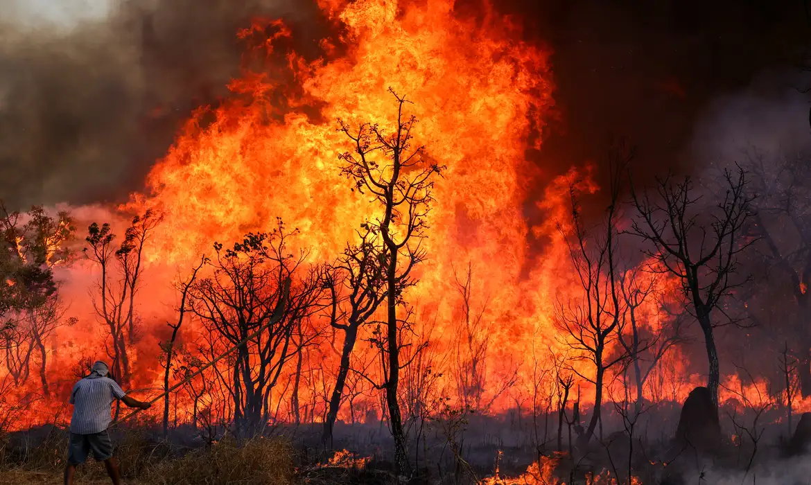 Brasil Registra Aumento Alarmante nas Áreas Queimadas em 2024