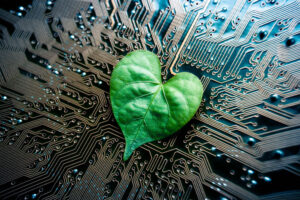 Northern Trust cria Tecnologia para Verificação Automática de Créditos de Carbono
