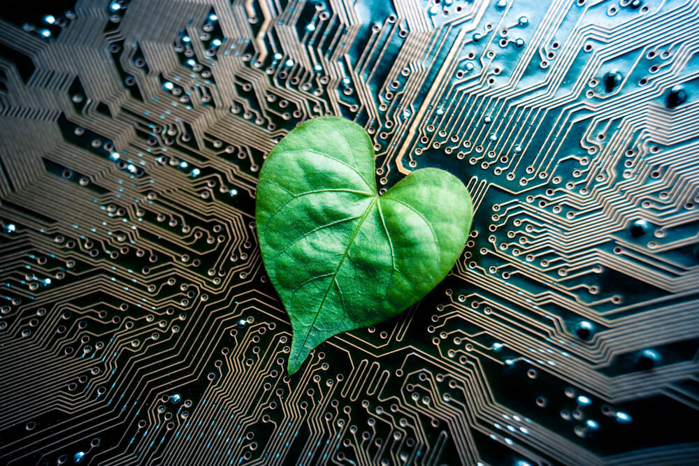 Northern Trust cria Tecnologia para Verificação Automática de Créditos de Carbono