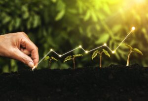 Tailândia Lançará Novo Mercado de Créditos de Carbono para Impulsionar Desenvolvimento Sustentável