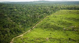 Governo Federal e Plano de Preservação da Amazônia