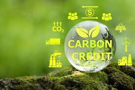 Startup Comercializa Fertilização Oceânica para Gerar Créditos de Carbono