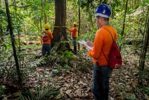 Comissão Aprova Regras para a Exploração Sustentável do Pau-Brasil