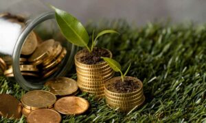 Nova Política dos EUA e seu Impacto no Mercado Voluntário de Carbono