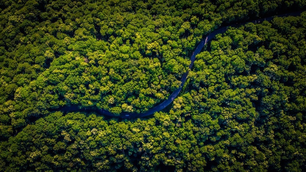Mercado de Créditos de Carbono Deve Atingir US$ 2,5 Trilhões Até 2032, Impulsionado pela Sustentabilidade Corporativa e Compromissos Climáticos Globais | Persistence Market Research