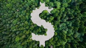 Créditos de carbono e agricultura indiana: uma oportunidade oculta para um futuro mais verde