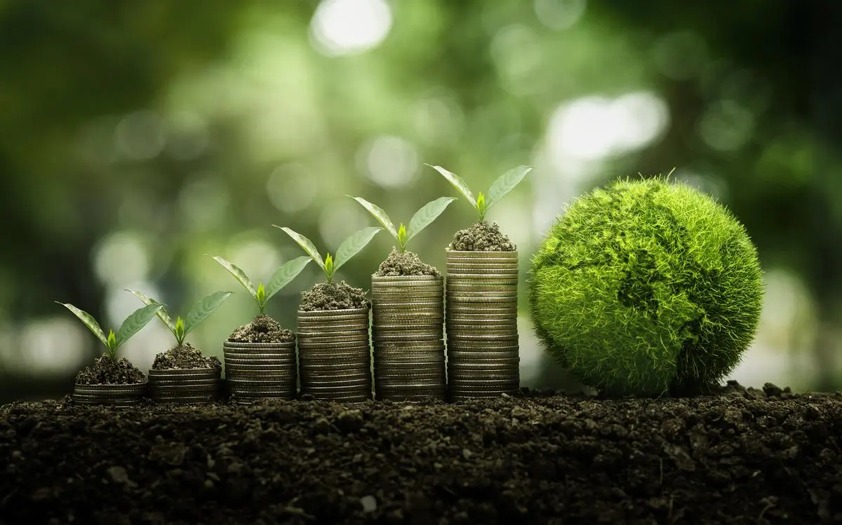 Guardiões do dólar verde — O grande salto do Zimbábue para o comércio de créditos de carbono