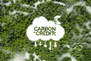 Microsoft comprará 18 milhões de toneladas de créditos de carbono da Rubicon Carbon