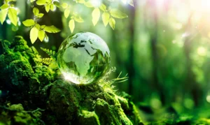 As empresas estão abandonando compensações e declarações de neutralidade de carbono e migrando para a remoção de carbono.