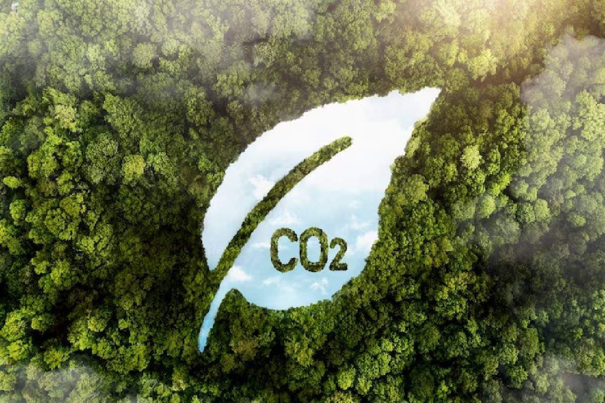 A receita da Gevo no primeiro trimestre de 2025 dispara com a demanda de SAF, ganhos de RNG e aumento de créditos de carbono