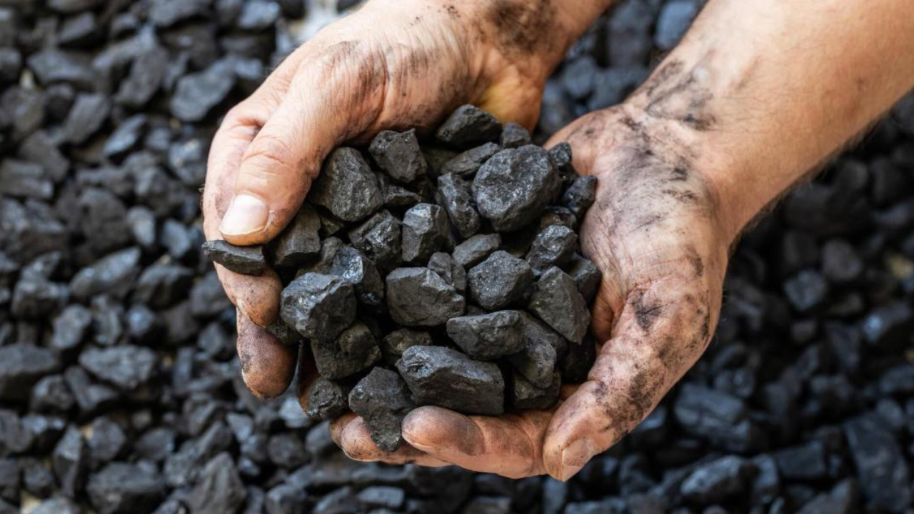 Mega movimento da Microsoft: acordo de 18 milhões de créditos de carbono com a Rubicon Carbon