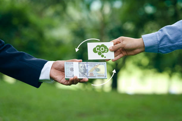 Riverse garante US$ 5,6 milhões para expandir plataforma de crédito de carbono