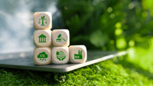 As lacunas de financiamento para a conservação da biodiversidade persistem enquanto as empresas procuram soluções baseadas na natureza