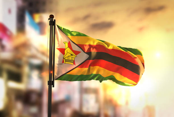 Zimbábue recorre à tecnologia blockchain para reavivar a confiança dos investidores em créditos de carbono