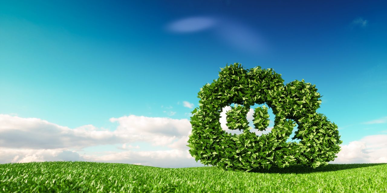 A CELAC pode liderar a revolução no financiamento do carbono